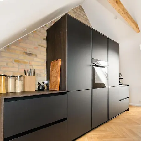 2-etagers Luksus Lejlighed I Vestbyen Apartment Aalborg